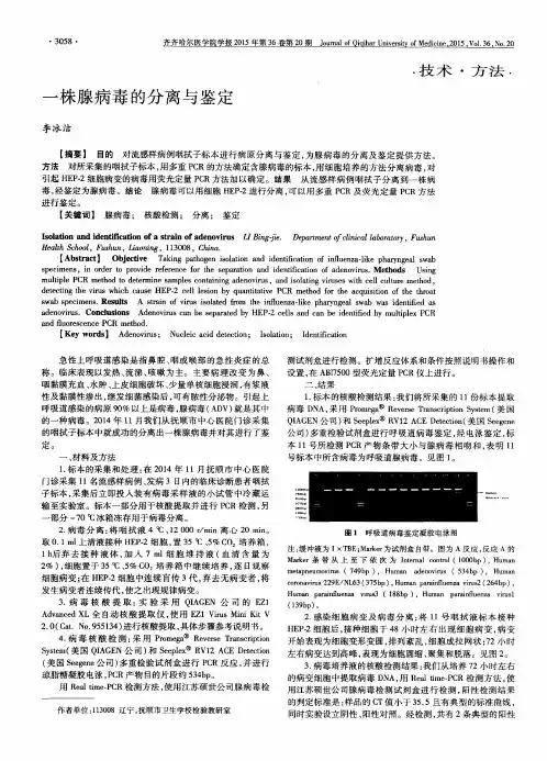 一株腺病毒的分离与鉴定