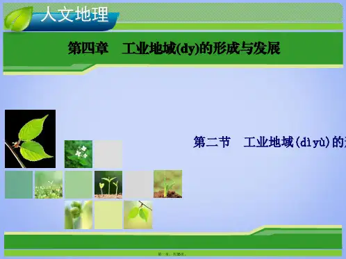 高考地理总复习 4.2 工业地域的形成 传统工业区与新工业区课件 新人教版必修2