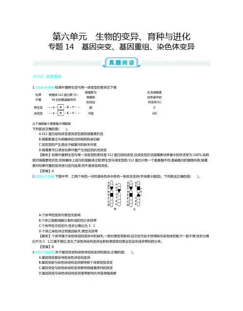 生物的变异、育种与进化 2