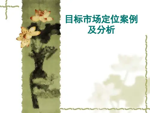 目标市场定位案例及分析