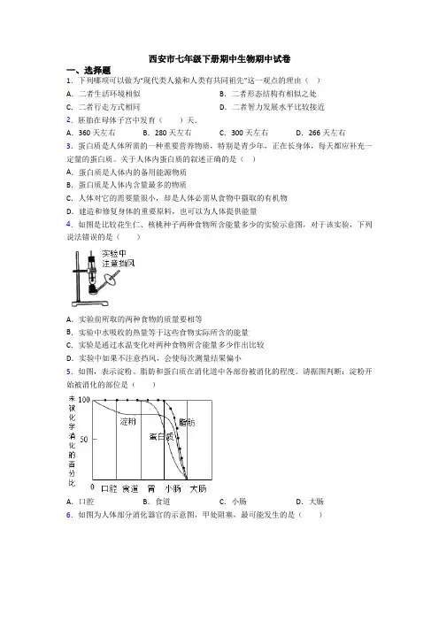 西安市七年级下册期中生物期中试卷
