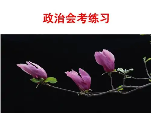政治会考练习2011.6.4