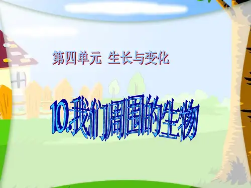 四年级下册科学课件-10周围的生物 冀教版 