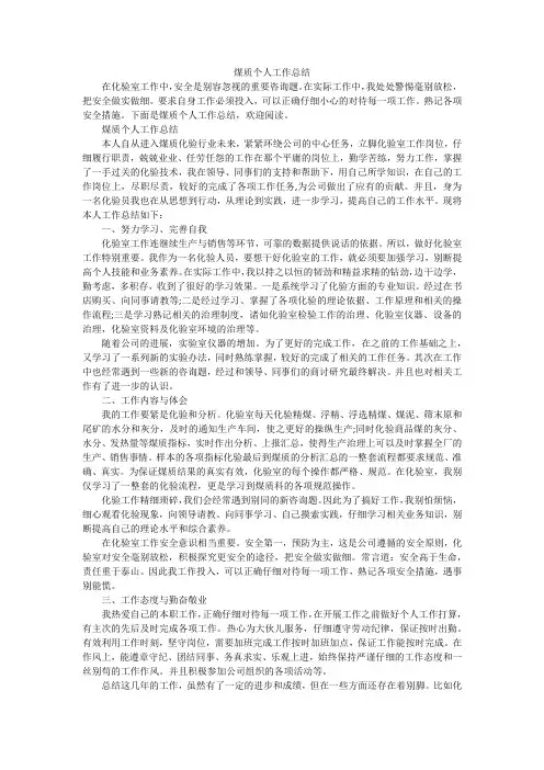 煤质个人工作总结
