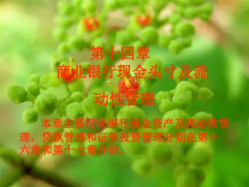 商业银行现金头寸及流动性管理概述PPT(共 30张)