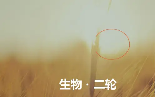2018高考生物二轮专题复习课件：专题三小专题6遗传的分子基础