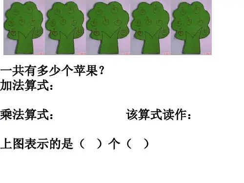 青岛版数学二年级上册复习题9