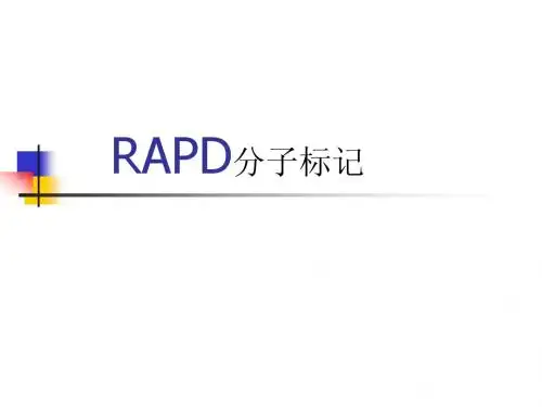 RAPD分子标记技术