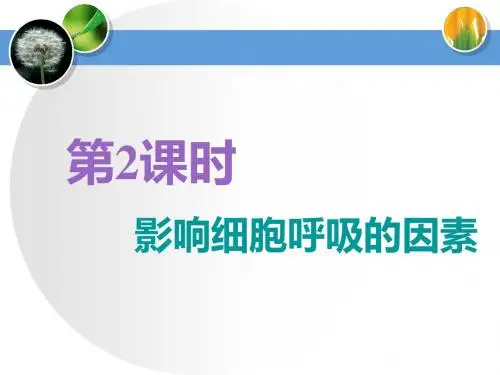 2019届一轮复习人教版 必修一 第三单元 第2讲 第2课时 影响细胞呼吸的因素 课件