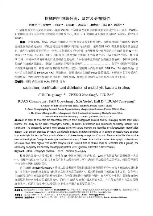 柑橘内生细菌分离、鉴定及分布特性