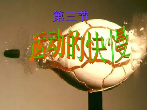 人教版八年级上册运动的快慢