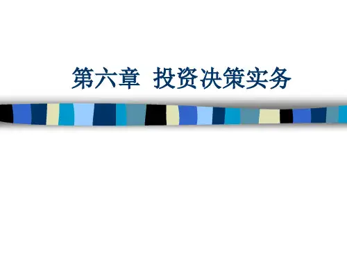 第6章投资决策实务