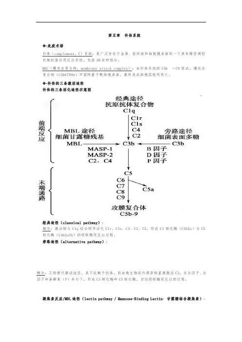 02、《医学免疫学笔记》第5~10章