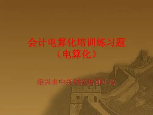 会计电算化练习题