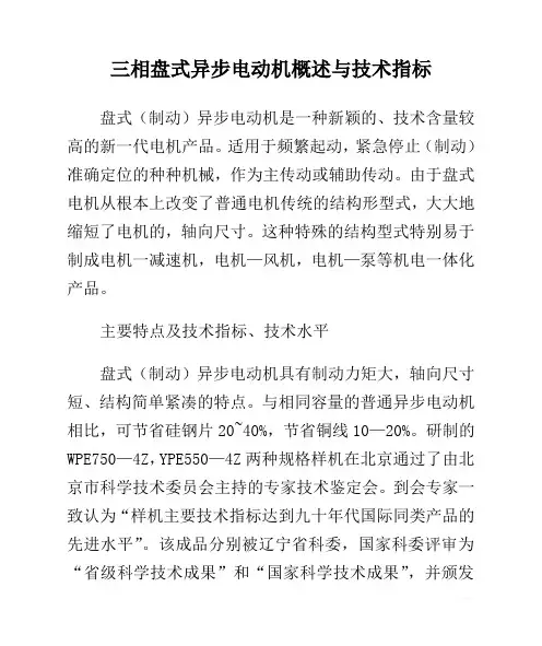三相盘式异步电动机概述与技术指标