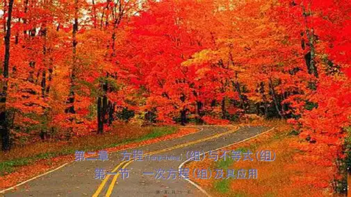 中考数学复习 第二章 方程(组)与不等式(组)第一节 一次方程(组)及其应用课件