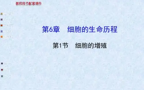 2014金榜生物教师用书配套课件必修1第6章第1节细胞的增殖-精选文档