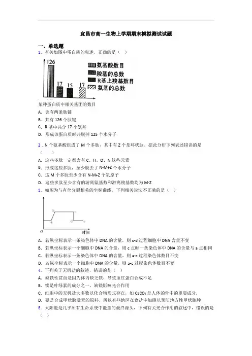宜昌市高一生物上学期期末模拟测试试题
