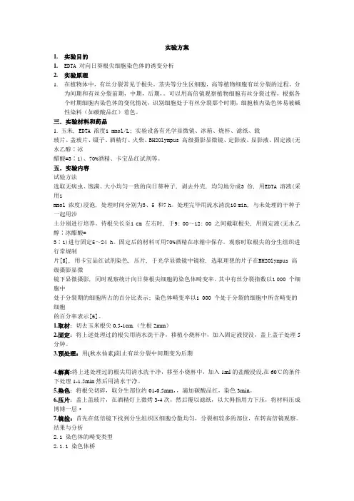 实习方案