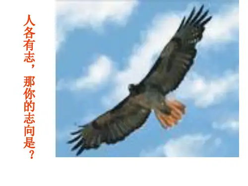 敬业与乐业1