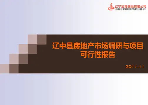 辽中县房地产市场调研与项目可行性报告