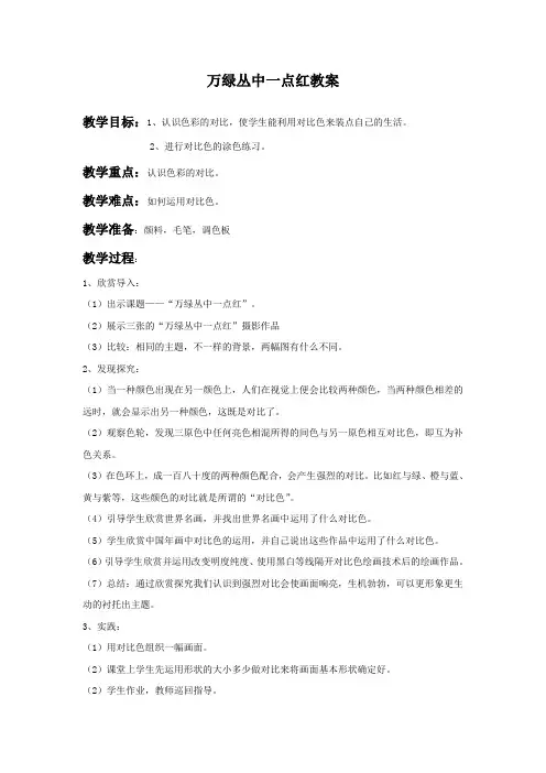 万绿丛中一点红教案4