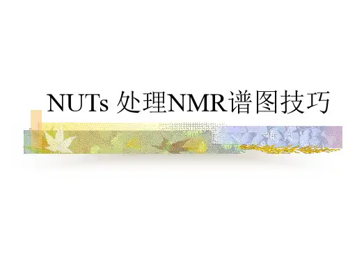 NUTs处理NMR谱图技巧解析