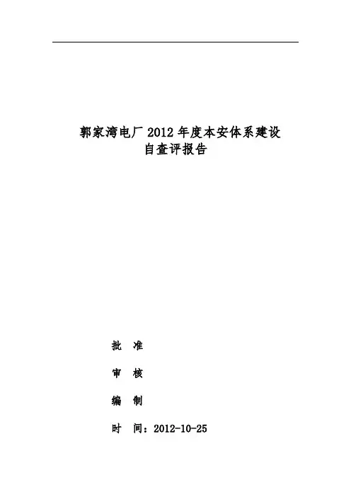 本安体系建设自查报告