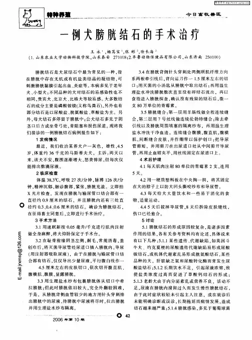 一例犬膀胱结石的手术治疗