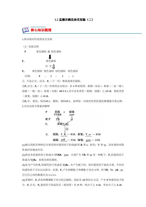 12孟德尔的豌豆杂交实验(二)(原卷版)