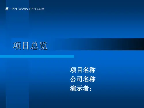 项目进展情况工作汇报PPT