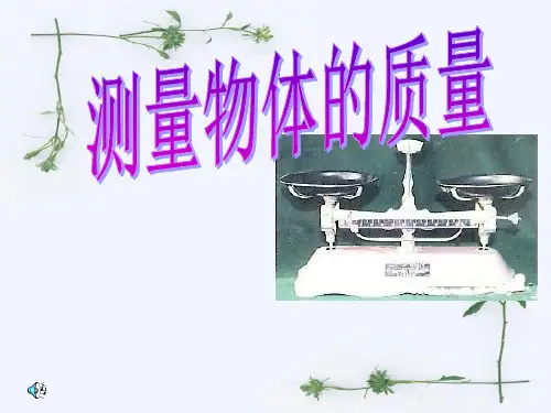 物体的质量PPT课件