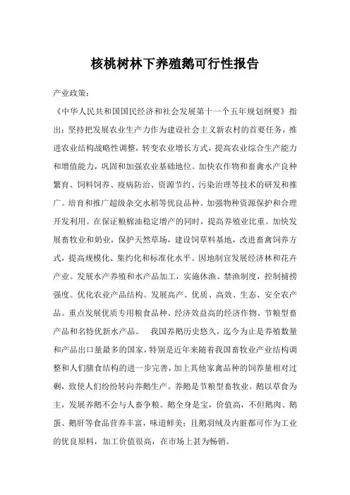 核桃树林下养殖鹅可行性报告