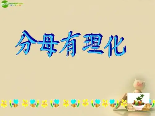 2015年春季新版苏科版八年级数学下学期10.2、分式的基本性质课件14