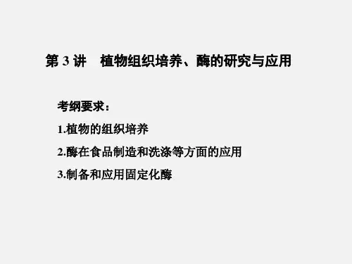 高考生物 一轮复习 生物技术实践 第3讲 植物组织培养、酶的研究与应用(选修1)