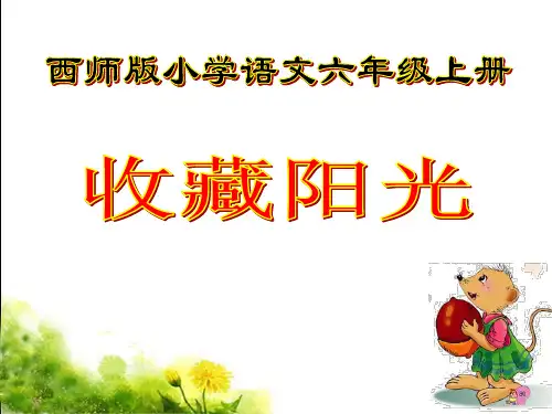 《收藏阳光》课件1