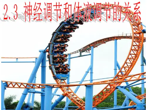 2.3神经调节和体液调节的关系