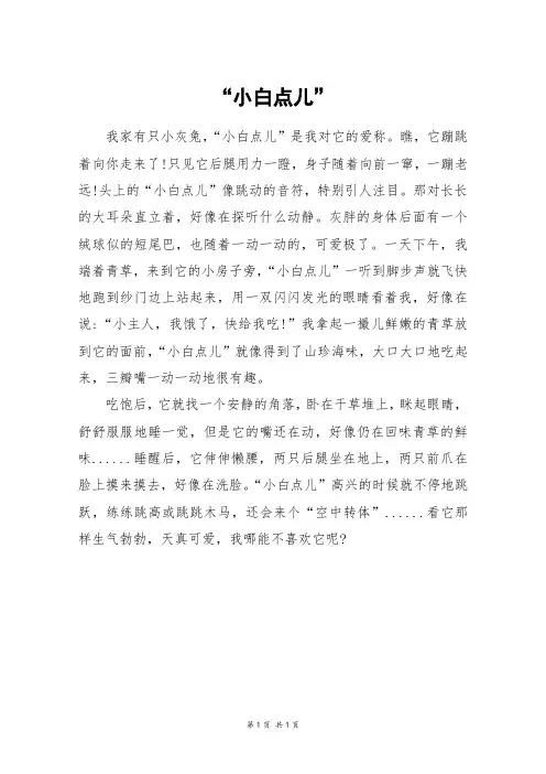 “小白点儿”_六年级作文