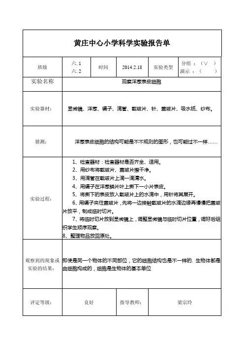 六年级下册科学实验报告单
