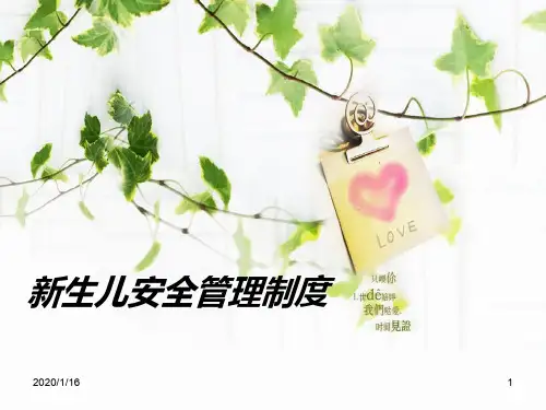 新生儿安全管理制度PPT课件