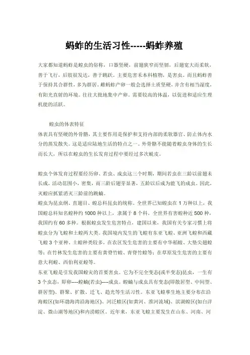 蚂蚱的生活习性-----蚂蚱养殖
