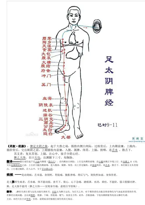 足太阴脾经