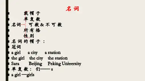 11月24  语法 名词
