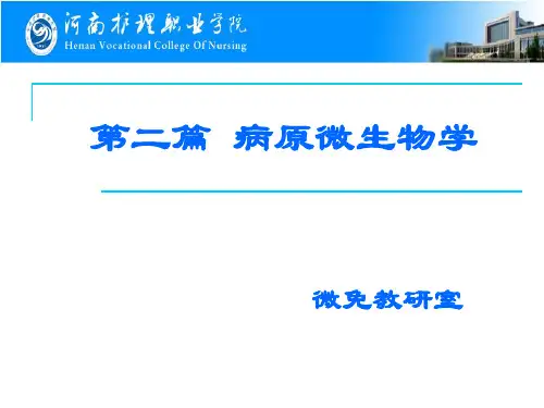 13.第十三章 细菌的遗传与变异