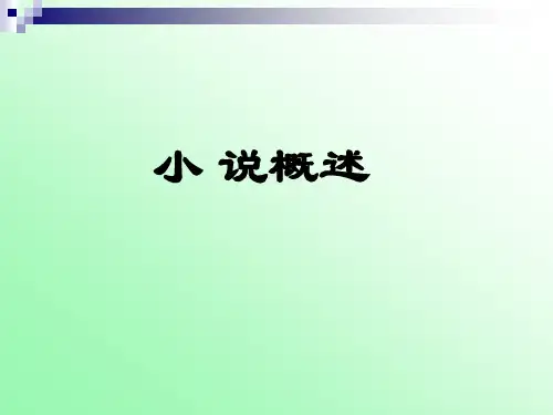 小说概述