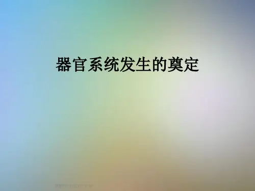 器官系统发生的奠定