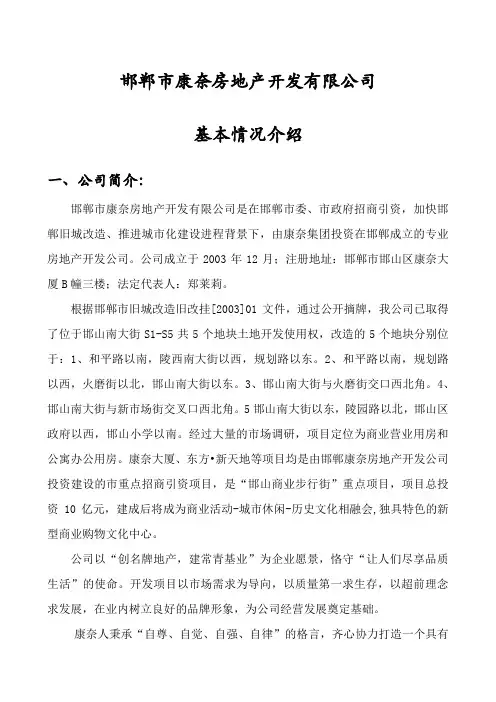企业简介及项目说明