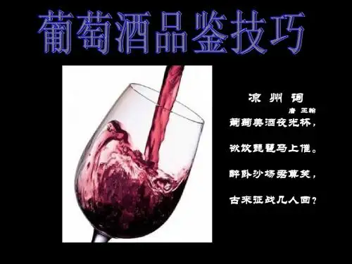 葡萄酒品鉴
