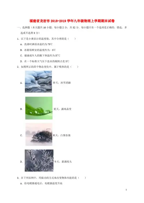 福建省龙岩市2018-2019学年九年级物理上学期期末试卷(含解析).doc