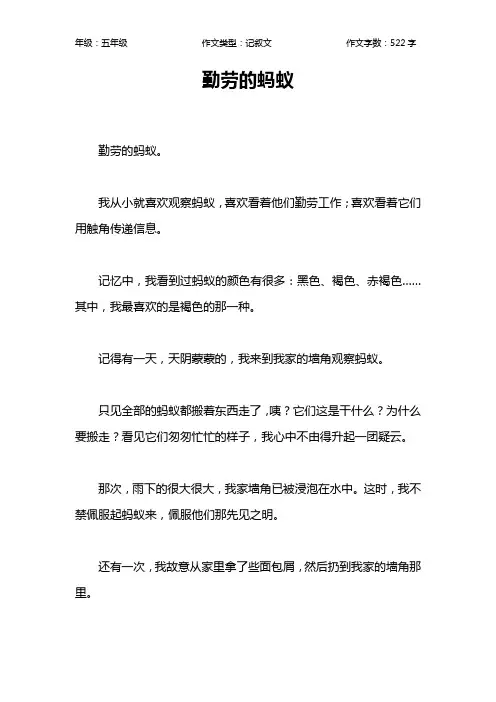 勤劳的蚂蚁作文【小学五年级500字】